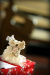 tIMG_0099_resize