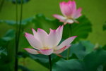 bDSC_0043_resize
