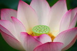 bDSC_0085_resize