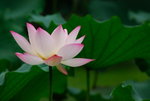 bDSC_0108_resize