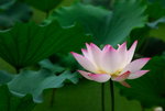 bDSC_0112_resize