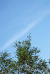 DSCF3350a