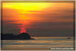 CRW_9529-2