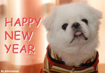 HAPPYNEWYEAR