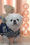 HAPPYNEWYEAR2