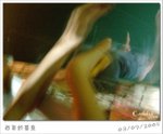 050903 211638F