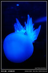 060909_oceanpark_p04