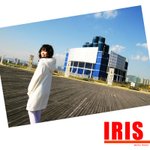 080112_iris_012