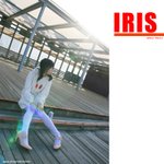 080112_iris_025