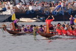 _P1B8850 - Version 2R
