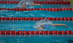 


Event-21 100m Back-Stroke Girls B Lane-5 / Heep Yunn School - Cheng Hei Tung  ( HYS )  KW7Z3213 - Version 2