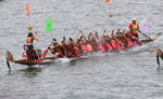 Tai Tam Tigers
_P1B1685-01