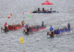 The Race
_P1B1711-01