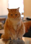 DSC_0047