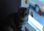 DSC_0080