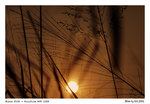 IMG016a