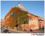 hakodate���]-F61