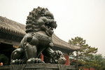 IMG_7734ES