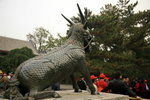 IMG_7746ES