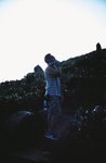 LCA 11_38