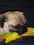 DSC01705