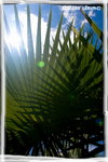 IMG_0368f_resize