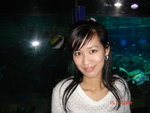 Ӱ��������lfish.....