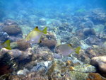 P1010011_resize