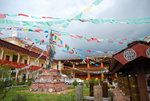 DSC_6044_resize