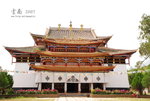 DSC_6642_resize