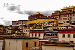 DSC_7146_resize