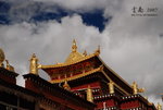 DSC_7188_resize