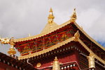 DSC_7200_resize