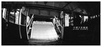 
STAR FERRY 018