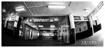 
STAR FERRY 010