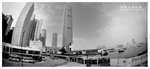 
STAR FERRY 020