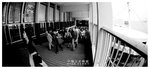 STAR FERRY 015
