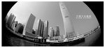 
STAR FERRY 012