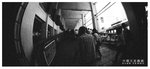 
STAR FERRY 014