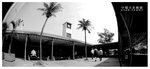 
STAR FERRY 002