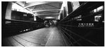
STAR FERRY 011