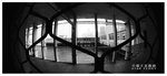 
STAR FERRY 009
