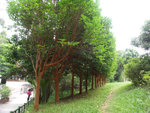PICT0237 a