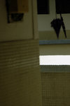 _DSC0014j