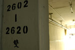 _DSC0032j