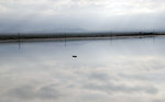 _DSC1109j