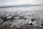 _DSC1123j