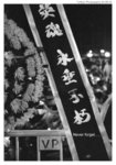 040604_003c copy