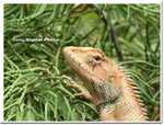 Dscn5068
