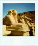 Egypt26